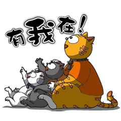 凱特羅伊-溫暖的大橘貓-主廚/菲特