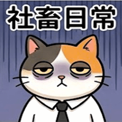 lifehihi-worklife-part7