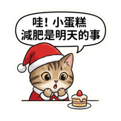 Christmas cheche cat 02