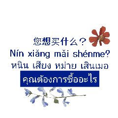 shoping Online Thai - Chinese(Shop)