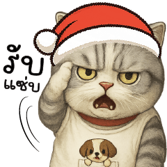 รับแซ่บ ค้าาาบป๋ม  >>.<<