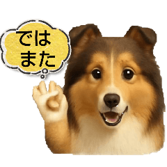 ayame_20251206005501