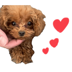 Shunki_20251205180607