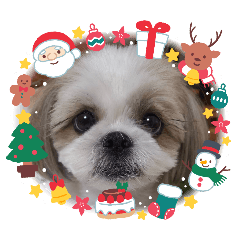 rapico_20251205163034