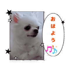 MINORU_20251205203205