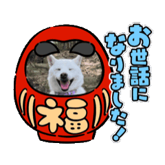 momoyo_20251205193449