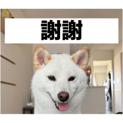 kotomi_20251205162335