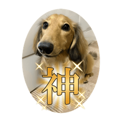 Natsumi_20251205183805