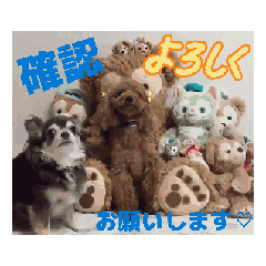 popchan_20251206020908