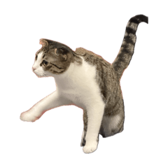 湯寶（你好 我吃一點）