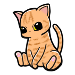 久しぶりの茶トラ猫