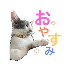 hiyori_20251205235134