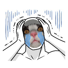 Mario_20251205210120