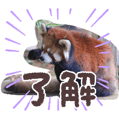 gussan_20251205151602