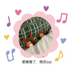 小橘子們的外出包&龍蝦小弟