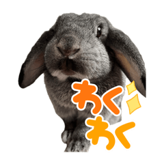 Shizuku_20251205200023