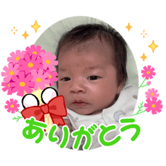 Chiko_20251205194938