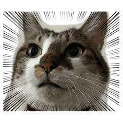 arisa_20251206080623