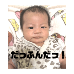 sakura_20251206081902