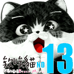 Explosive cat  13 Beyond the ordinary