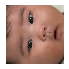 hikari_20251205224827