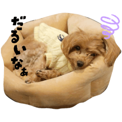 Mizuki_20251205225549