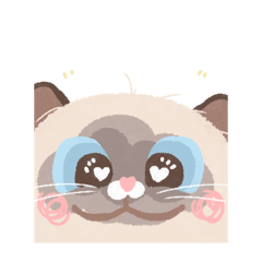 BAE塔喵有公主病