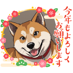 AMIMEshiba