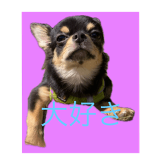 kasumisou_20251205203329