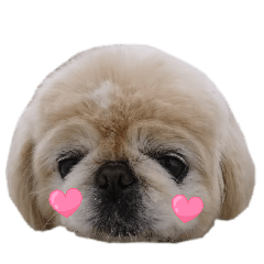 kobayashidaada_20251206004016