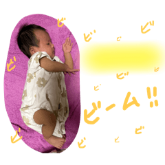 sakura_20251206111138