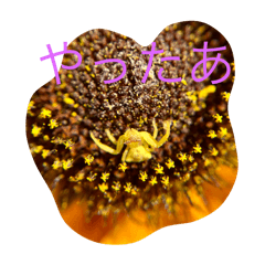 soucho_20251206093925