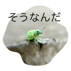 soucho_20251206100440