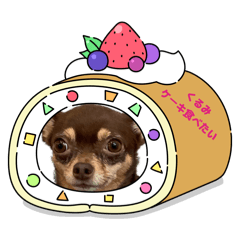 Kurumi_20251206064816