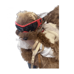 Nakachan_20251206143529