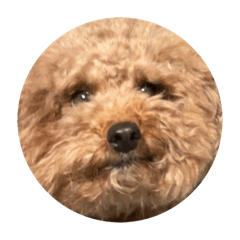 HapiTsumuGin_20251206091507