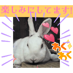 ✡Ash✡癒し系〜