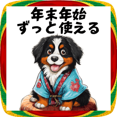 年末年始も使えるバーニーズBIG