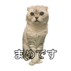 まめちゃんスタンプ vol.2