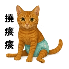 癱貓-毛毛與小橘w