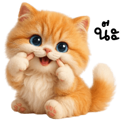 cute orange cat cute