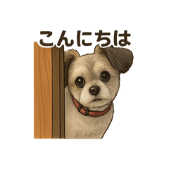 momomo_20251206151013