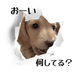 mizuki_20251206161501