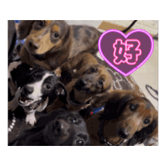 hazuki_20251206174958