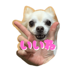 YUKIO_20251206211803