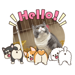 妞妞兒的日常生活！