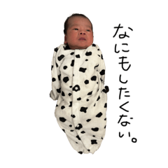 patra_20251206202423