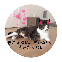 Himarin_20251206231020