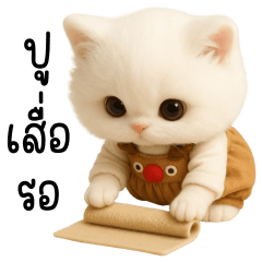 Cute white cat Overall