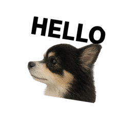 Mameo_20251206224347